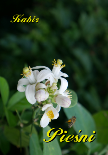 kabir-piesni-cover.png