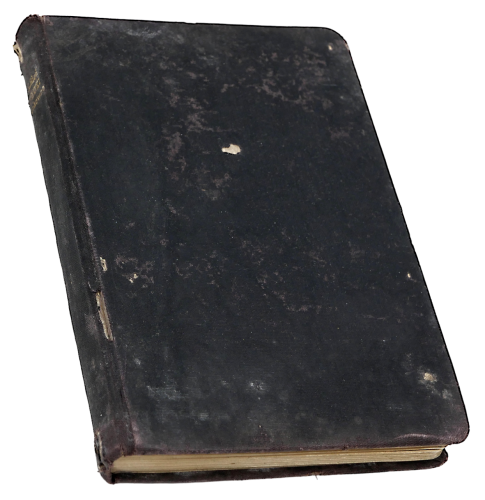 P1017852.JPG