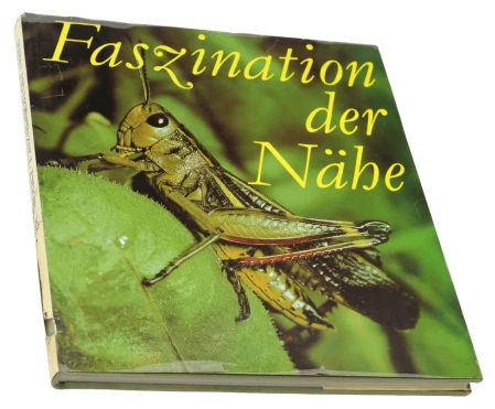 P1000396.png