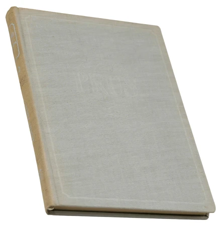 P1000539.png