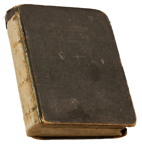 P1001584.png