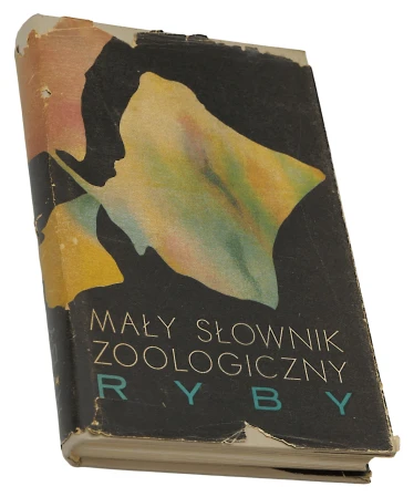 P1000744.png