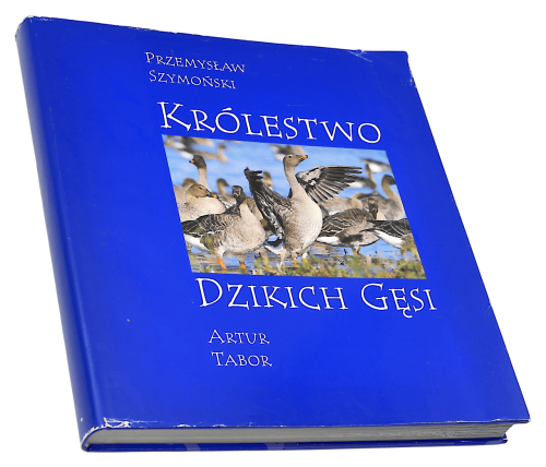P1002526.png
