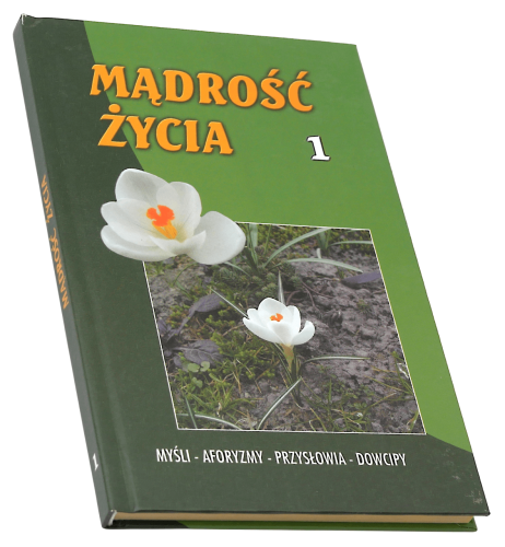 P1002730.png