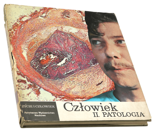 P1002676.png