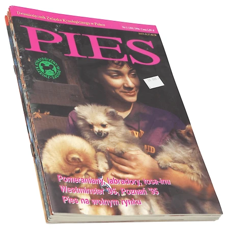 P1003457.png