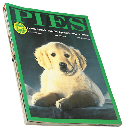 P1003560.png