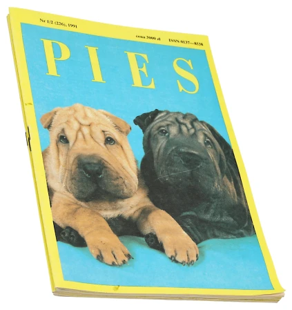 P1003558.png