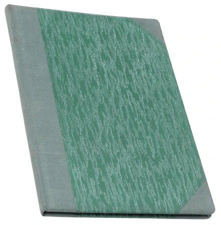 P1003107.png
