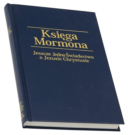 P1003181.png