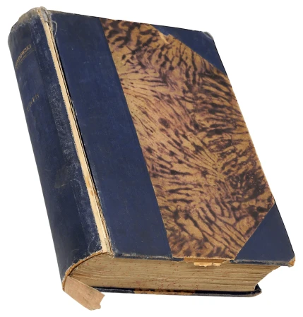 P1003333.png