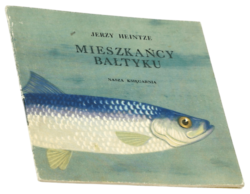 P1003484.png