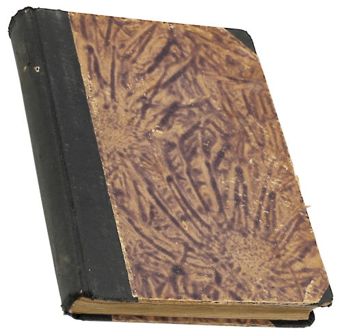 P1003486.png