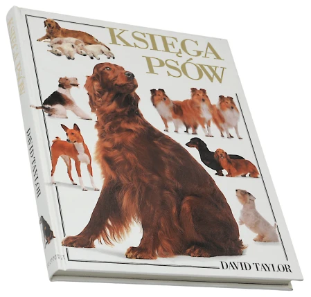 P1003751.png
