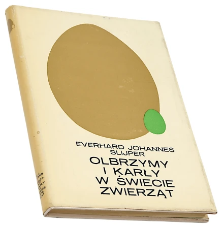 P1003757.png