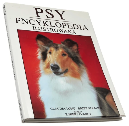P1004824.png