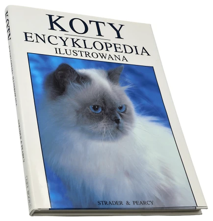 P1004825.png