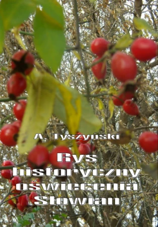 rys-historyczny-oswiecenia-slowian-okl.jpg
