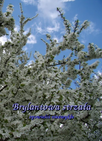 brylantowa.strzała_cover.png