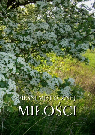 pieśni.mistycznej.mołości.cover.png
