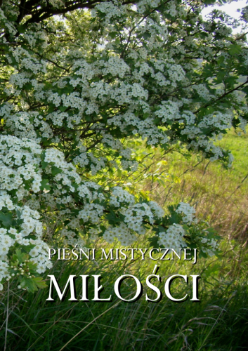 pieśni.mistycznej.mołości.cover.png