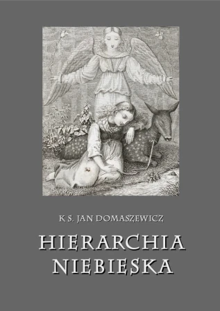 domaszewicz-jan-hierarchia-niebieska-druk-okl-A5.jpg