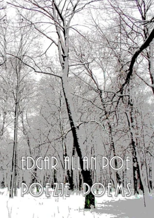 A5-poe-ea-poezje-poems-okl.jpg